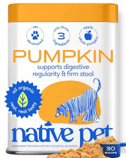 Native Pet Pumpkin for Dogs