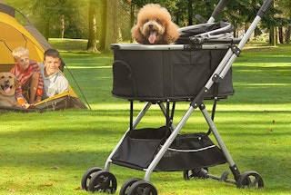 walmart pet stroller 2023 1674579302 1674579302