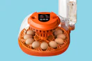 Egg Incubator B0FB3C8MMG