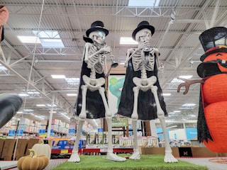 animated musical skeletons