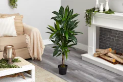 artificial plant in living room