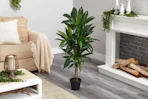 artificial plant in living room