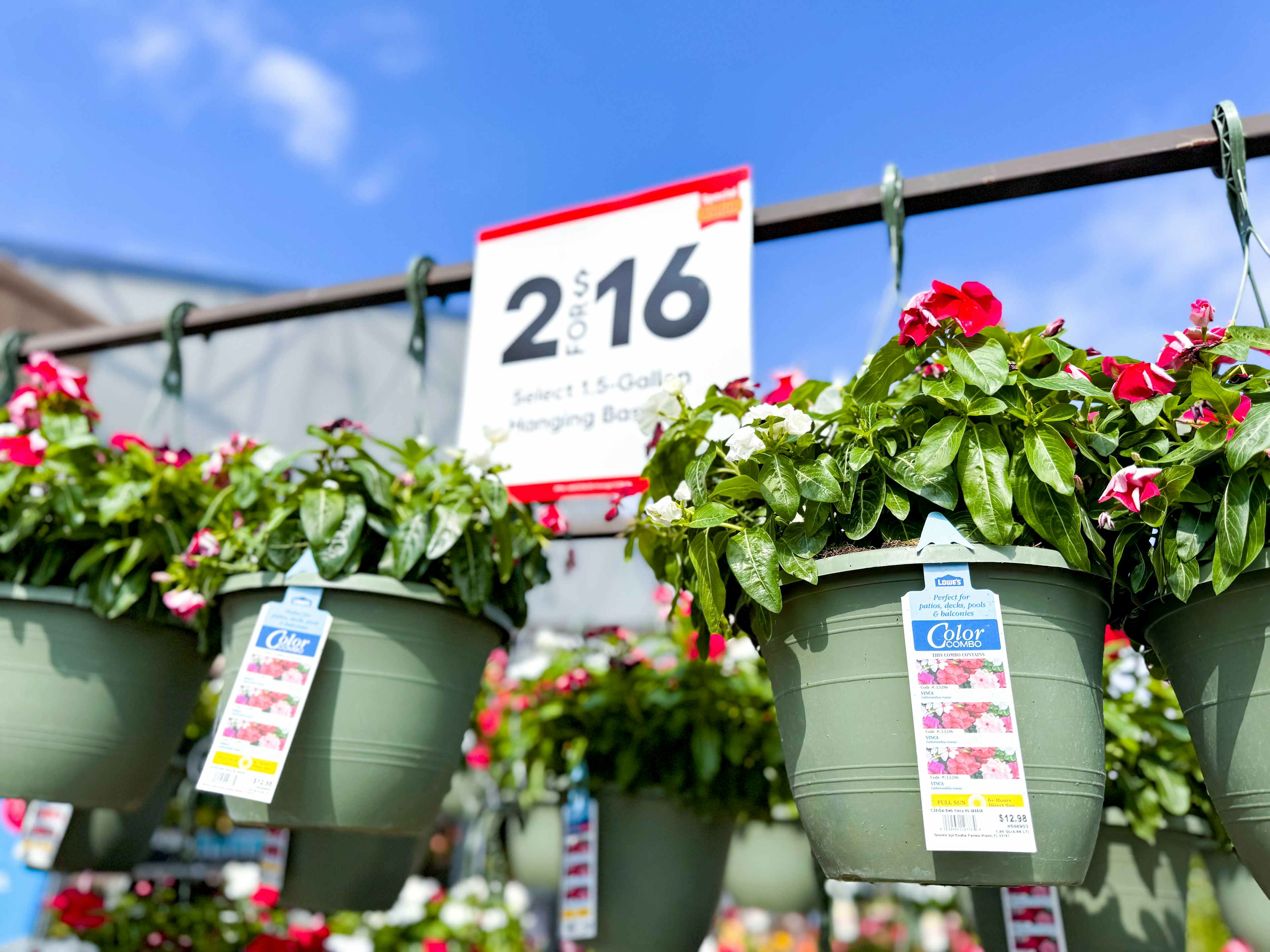 2-for-16-hanging-flower-baskets-lowes-1
