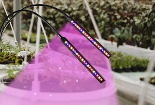 amazon led plant light 2022 1 1673023498 1673023498