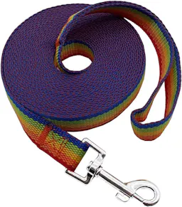 Nylon Training Dog Leash