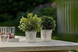 artificial plant on patio table