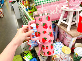 dollar general strawberry tumbler