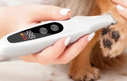 a person using a pet trimmer a dog's paw