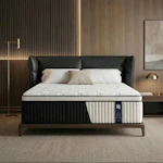 Queen Hybrid Mattress