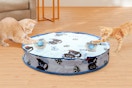 amazon cat toy