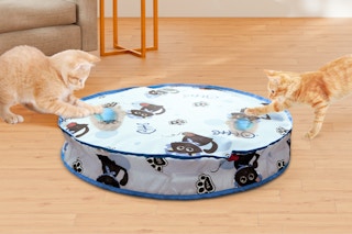 amazon cat toy