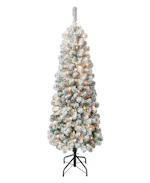 National Tree Company Acacia Tree