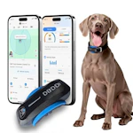 AI GPS Tracker for Dogs