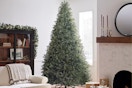National Tree Company Artificial Full Christmas Tree, 9 ft