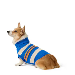 Fall Dog Sweater