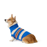 Fall Dog Sweater