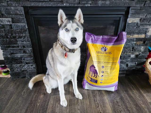 Wellness Complete Health 30-Pound Dog Food, Now $33 on Amazon card image