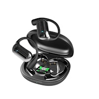 AI Translation Earbuds