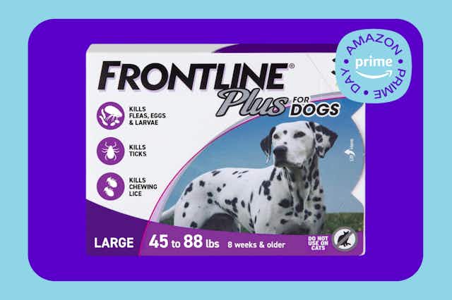 Best Pet Coupons for July 2024 The Krazy Coupon Lady