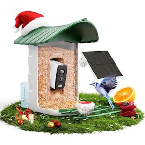 Smart Bird Feeder Camera