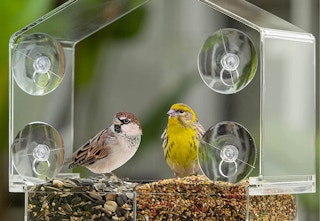 amazon bird feeder 2023 1 1678814523 1678814523