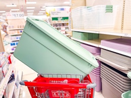 Act Fast: Target Marked Down This 45-Gallon Wheeled Storage Tote to $17 card image