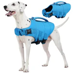 Dog Life Jacket