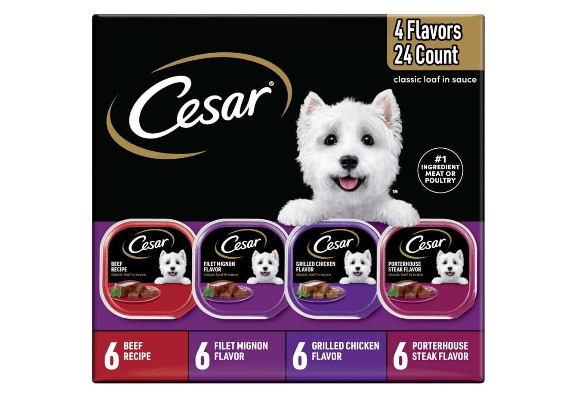 Cesar Wet Dog Food Multipack