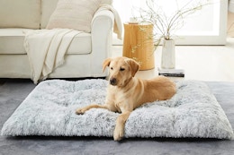 Score a Large Dog Bed for Just $25 at Walmart (Reg. $60) card image