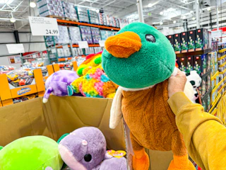 costco-zuru-weighted-plush-1