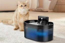 An orange cat looks startled behind a blue 2.2 L oval-shaped water fountain.