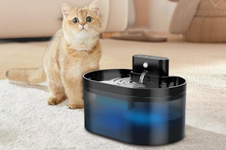 An orange cat looks startled behind a blue 2.2 L oval-shaped water fountain.