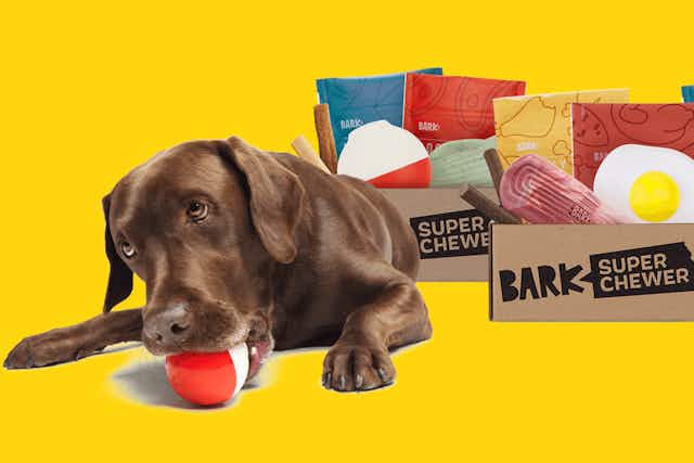 Get 50% Off Your First Super Chewer Box card image