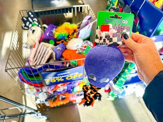 petco-halloween-clearance-dog-toys-3