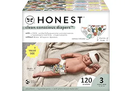 2 The Honest Company Diapers