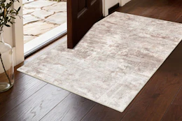 Lifestyle image of area rug in front of door