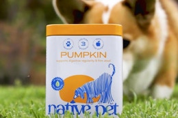 The $99 Bag of Native Pet Pumpkin Dog Food Topper Is Now Just $23 on Amazon card image