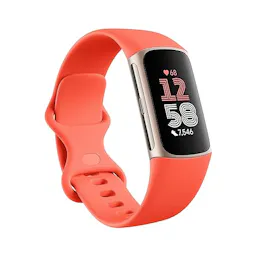 Fitbit Charge 6