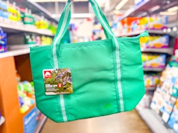 12-Can Cooler Tote, Just $4.88 at Walmart card image