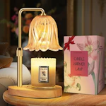 Candle Warmer Lamp