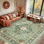 Washable Area Rug