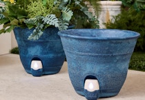 Bernini Self-Watering Planters