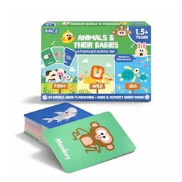 Animal Flash Cards