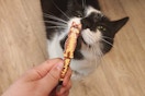 Sally Beauty Cat Tweezer With Sadie