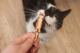 Sally Beauty Cat Tweezer With Sadie