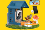 Smart Bird Feeder with Camera B0FN82TTWX