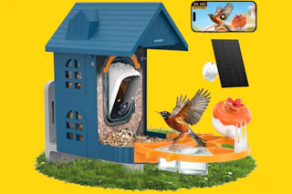 Smart Bird Feeder with Camera B0FN82TTWX