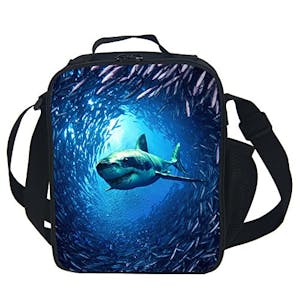 Insulated Lunch Box Cooler Bag