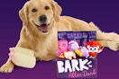 bark after dark