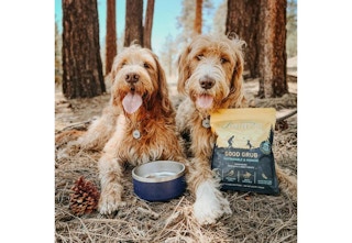 dogs with food